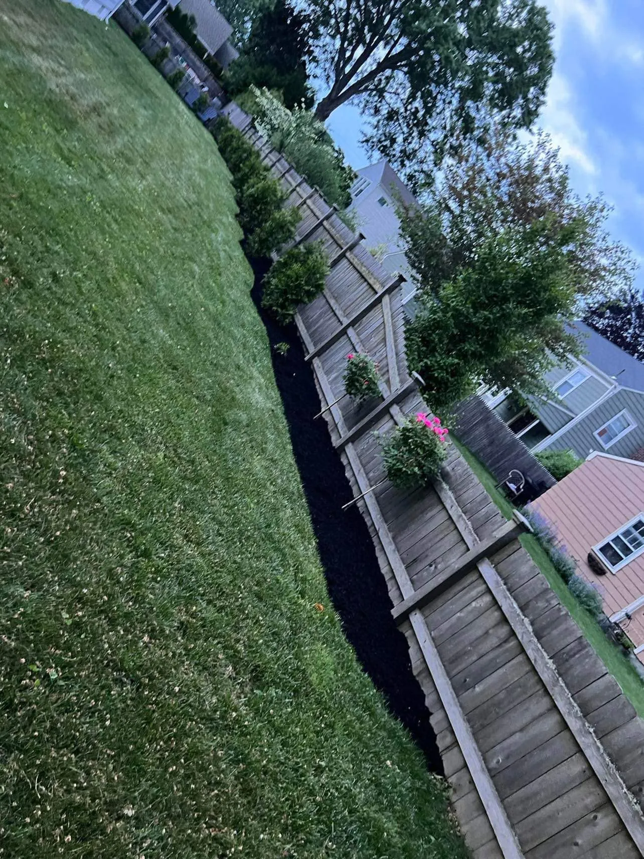 Fresh mulch and new plantings along a paver walkway